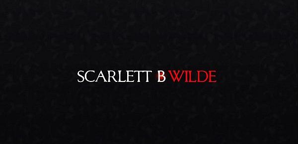  Scarlett B Wilde Blog - Role Play with Clients